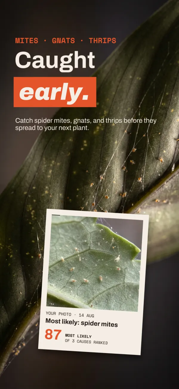 Houseplant SOS: Pest ID screenshot 1 of 6