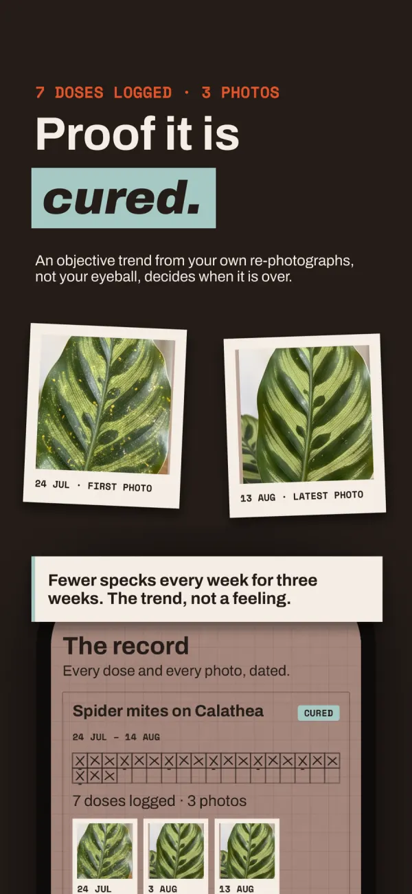 Houseplant SOS: Pest ID screenshot 4 of 6