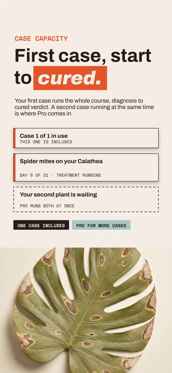 Houseplant SOS: Pest ID screenshot 6 of 6